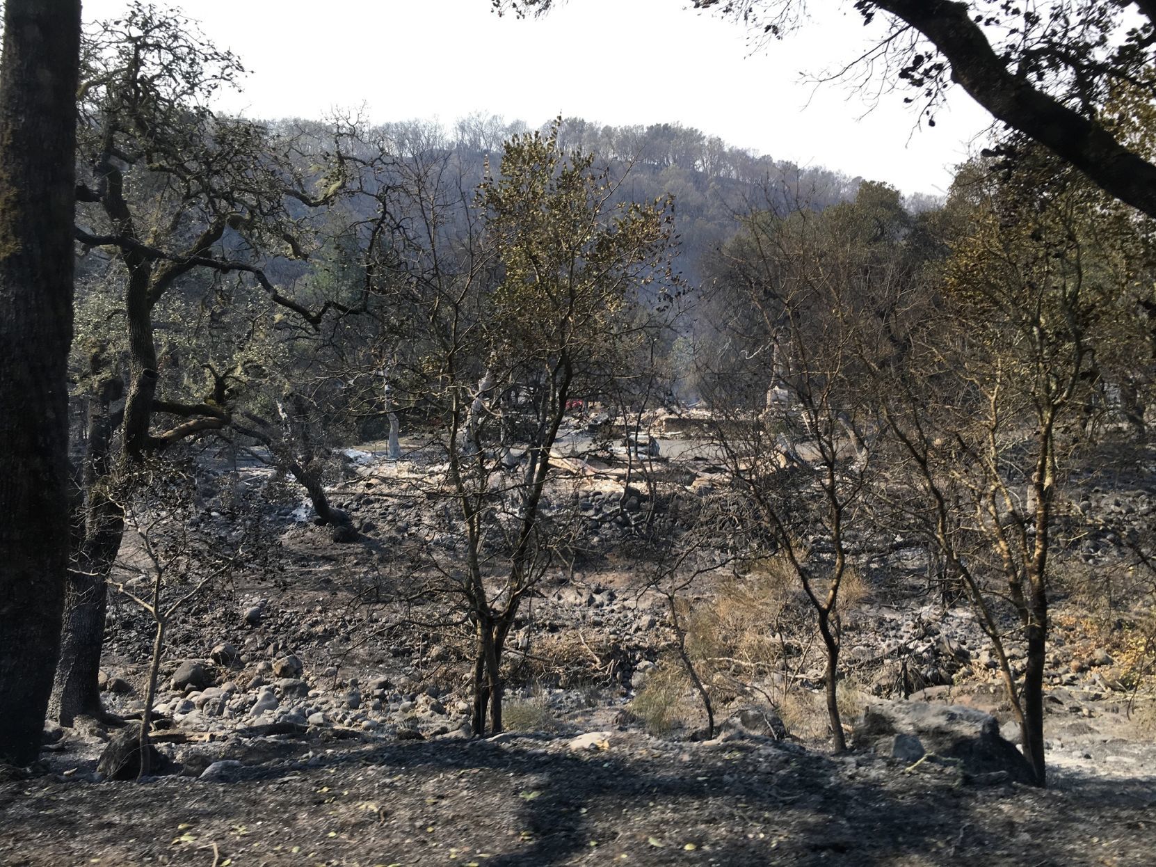 Walker house after 2017 fire